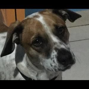 Meet your Posher, Bryan